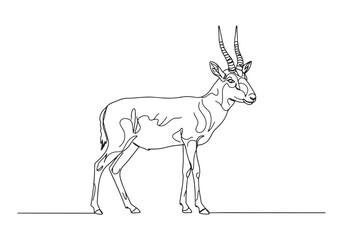 Elegant Saiga Antelope Continuous Line Art Illustration in Black