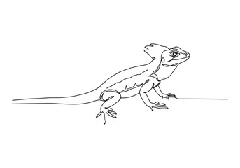 Fototapeta premium Elegant Basilisk Lizard Portrayal, A Black and White Continuous
