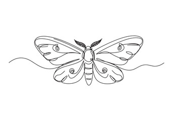 Elegant moth continuous line art illustration, a minimalist inse