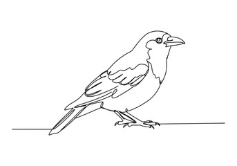 Elegant Blackbird, A Continuous Line Drawing in Minimalist Style