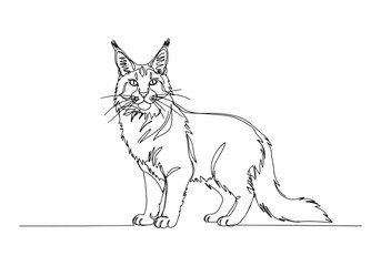 Obraz premium Elegant Maine Coon Portrait, A Minimalist Continuous Line Drawin