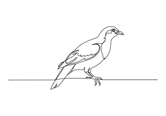 Elegant continuous line drawing of a Taipan in minimalist style