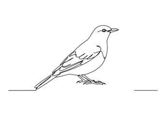 Minimalist oneline art drawing of a Thrush bird in vector format