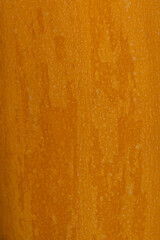 yellow peel of a ripe pumpkin or zucchini, details of the peel of a zucchini