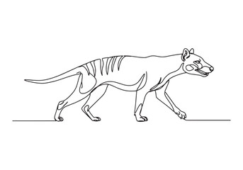 Fototapeta premium Elegant continuous line drawing of a thylacine, Tasmanian tiger