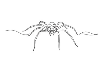 Elegant sea spider artwork in a minimalist continuous line style