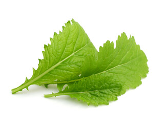 Lettuce, vegetables, greens