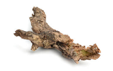 Tree bark