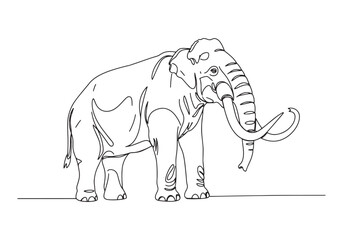 Fototapeta premium Elegant continuous line drawing of a mastodon, showcasing simpli