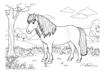 Shetland Pony in a Coloring Book Style Illustration Detailed Out