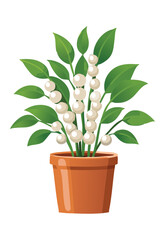 Potted Plant with White Berries and Green Leaves