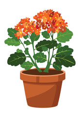 Vibrant Orange Flowering Plant in Pot