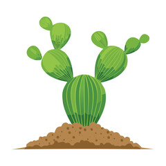 Wide Green Prickly Pear Cactus on Soil