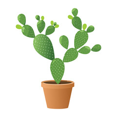 Simple Prickly Pear Cactus in Pot