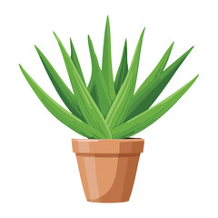 Taller Aloe Vera Plant in Terracotta Pot