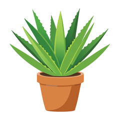 Classic Aloe Vera Plant in Terracotta Pot