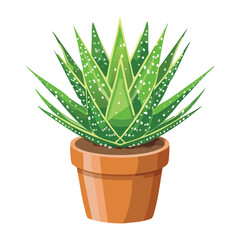 Elongated Aloe Vera Plant in Terracotta Pot