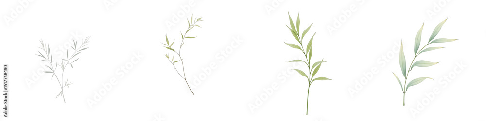Poster bamboo leaves branches isolated on transparent background for creative design elements and botanical
