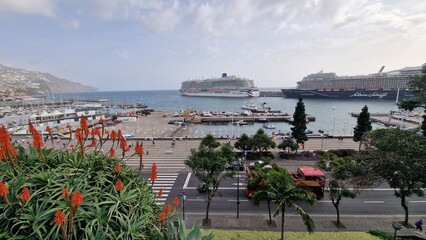 The surroundings of Funchal harbor in Madeira offer a vibrant mix of historic charm, modern marina...