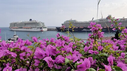 The surroundings of Funchal harbor in Madeira offer a vibrant mix of historic charm, modern marina...