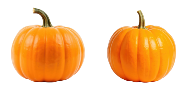 Fresh orange pumpkins with smooth skin and defined ridges isolated on a transparent background showcasing their vibrant color and round shape.