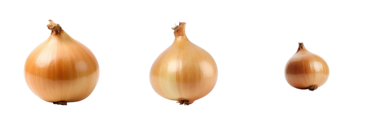 Multiple sizes of fresh onions isolated on a transparent background showcasing their glossy surface and natural color variations for culinary use and visual presentations