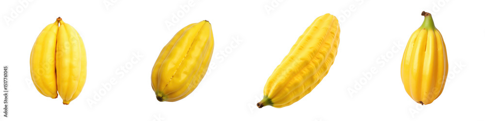 Poster fresh yellow cacao pods arranged in various positions isolated on a transparent background showcasin