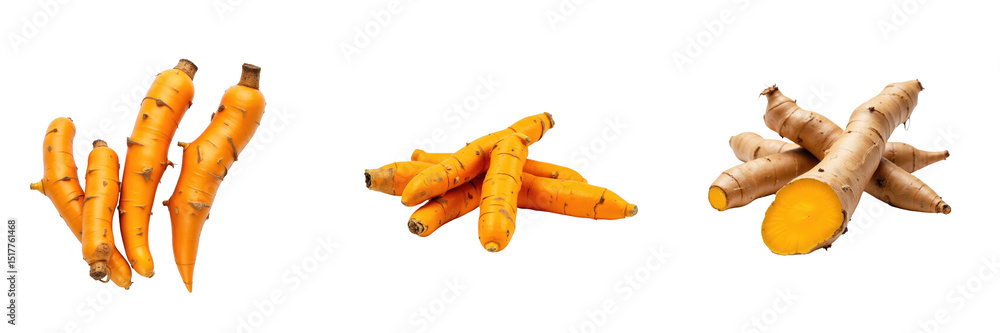 Poster fresh turmeric roots in various orientations displaying vibrant orange and yellow colors isolated on