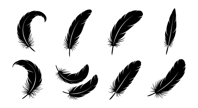 Vector Feather Icons collection. Black feather silhouette set.