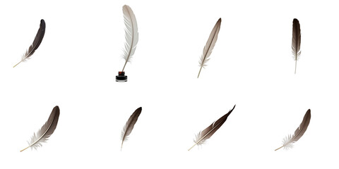 Feather quills and inkwell arranged on transparent background demonstrating various orientations and styles of writing instruments for illustrative purposes