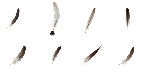 Feather quills and inkwell arranged on transparent background demonstrating various orientations and styles of writing instruments for illustrative purposes