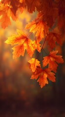 Autumn Leaves in Warm Sunlight - Vibrant Fall Colors and Detailed Leaf Veins Capturing the Beauty of Seasonal Change