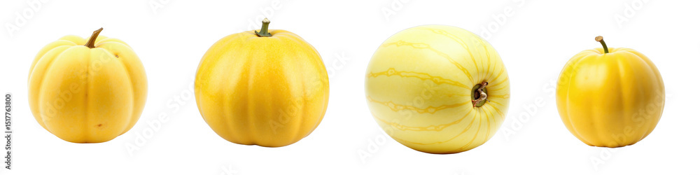 Poster various types of yellow cantaloupe melons displayed on a transparent background highlighting differe