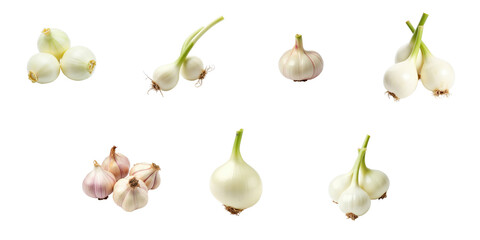 Obraz premium Fresh shallots and garlic bulbs arranged on a transparent background, displaying various sizes and shapes, emphasizing healthy cooking ingredients and herb vegetables.