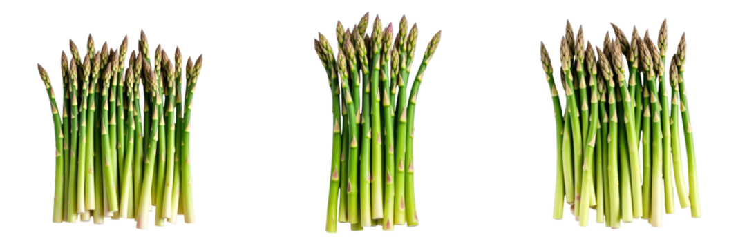 Fresh green asparagus spears grouped in three clusters isolated on transparent background presented in top view with detailed texture and vibrant color variations