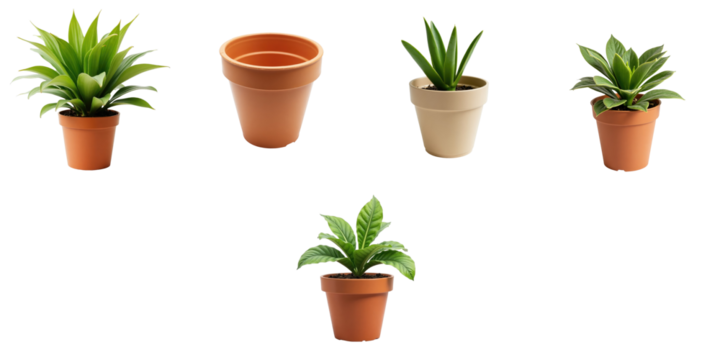various flower pots with plants isolated on transparent background including different shapes and colors of pots and plant types