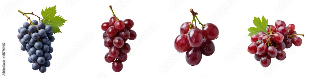 Poster fresh grapes in various colors including blue and red varieties isolated on transparent background w