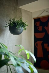 窓辺に吊るした観葉植物の鉢