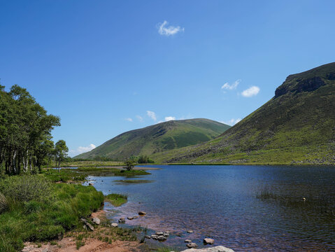 A lake is surrounded by grassy shores, trees on the left, and green hills in the background under a blue sky