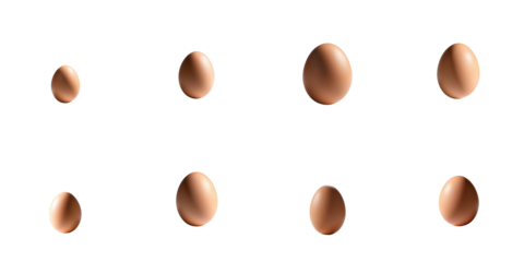 Collection of brown eggs arranged in various positions isolated on a solid transparent background for conceptual or advertising use.