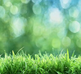 Closeup of Dewy Green Grass Against a Blurred Natural Background