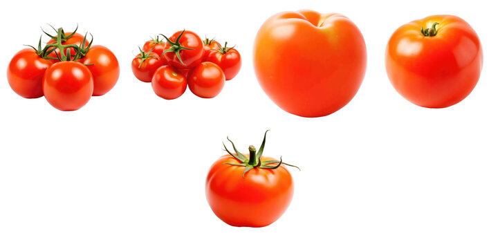 assortment of red tomatoes with varying sizes including cherry tomatoes on a transparent background for food and culinary presentations