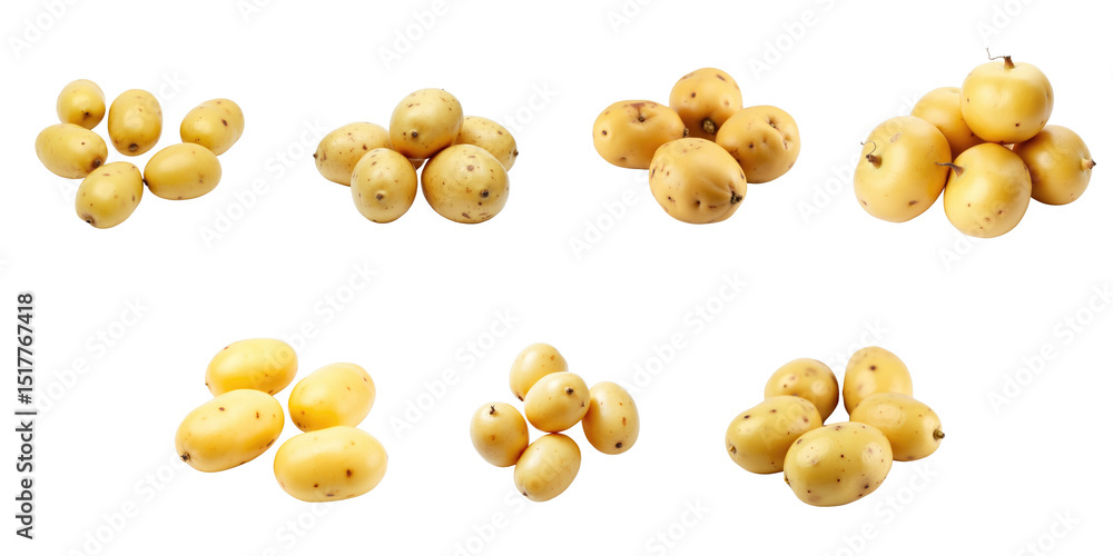 Poster multiple clusters of sprouted yellow potatoes arranged on a transparent background showcasing varyin