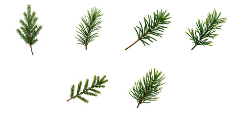 Collection of isolated fir tree branches on transparent background including various angles and styles showcasing their distinctive green needles and shape.