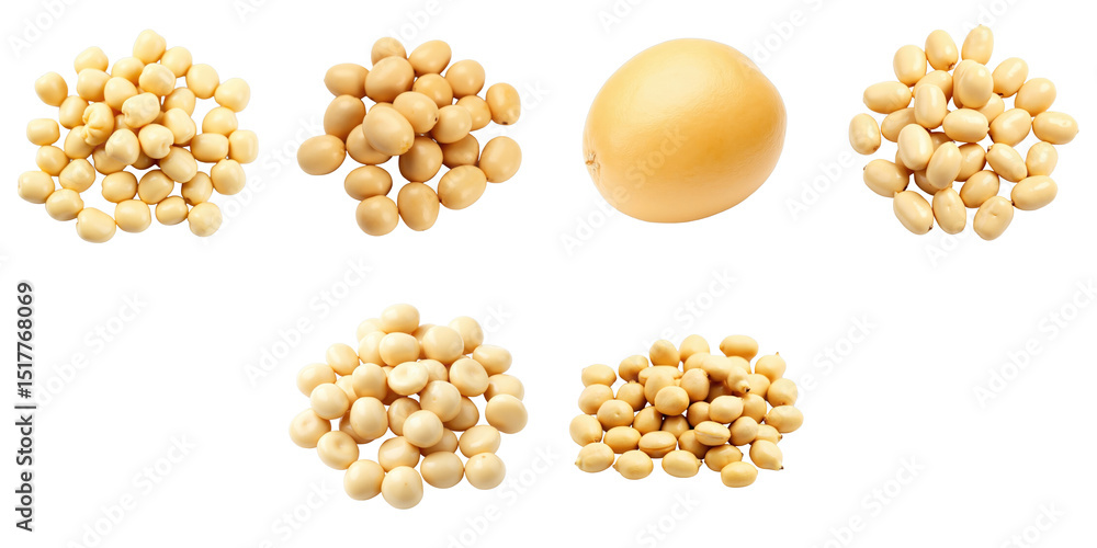 Poster soybeans arranged in various clusters with one large soybean on a transparent background showcasing 