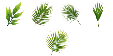Various fresh green palm leaves and tropical plant leaves isolated on transparent background ideal for summer-themed designs and botanical illustrations.