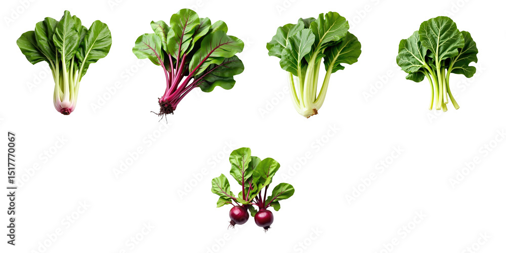 Aufkleber fresh beet leaves and roots arranged in various orientations isolated on transparent background with