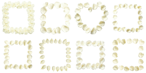 Set of eight frames created from delicate white rose petals arranged in various shapes including squares and hearts isolated on a transparent background
