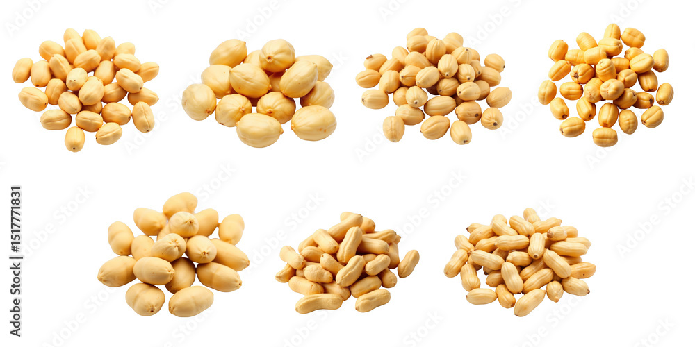 Poster variety of boiled peanuts in different piles arranged on a transparent background showcasing their t