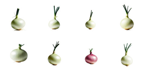 Fresh onions displayed in a grid format on a transparent background showcasing various types including white, yellow, and red onions with green sprouts on top.